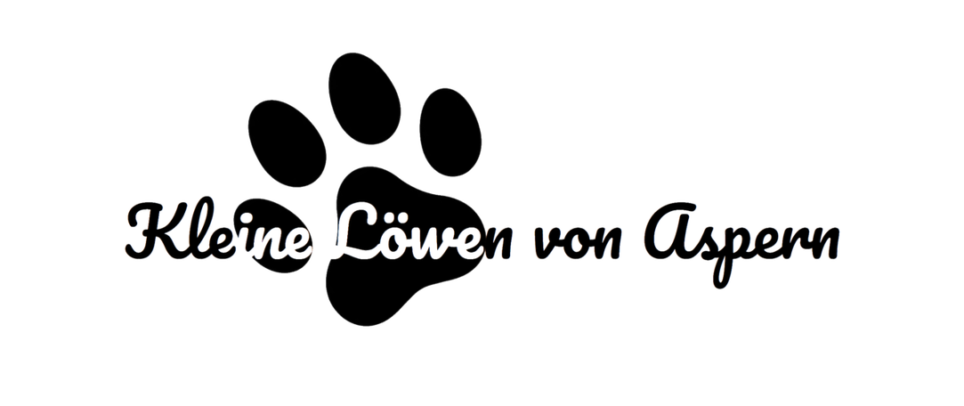 Kleine Löwen von Aspern